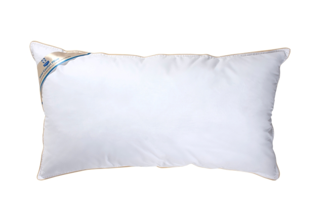 Sealy 100% Cotton Firm Support Pillow - White - Jumbo