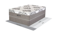 Sleepmasters Goa 137cm (Double) Firm Bed Set Standard Length